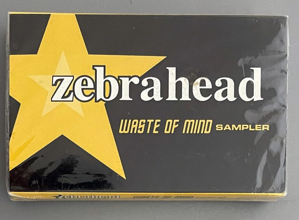 Zebrahead Waste of Mind Cassette Tape (Sealed)